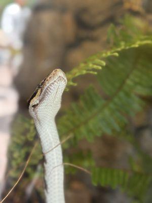 Texas State Aquarium