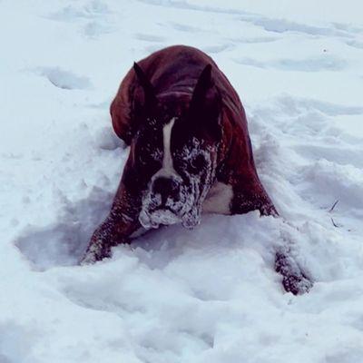 Trails End Equestrian Center