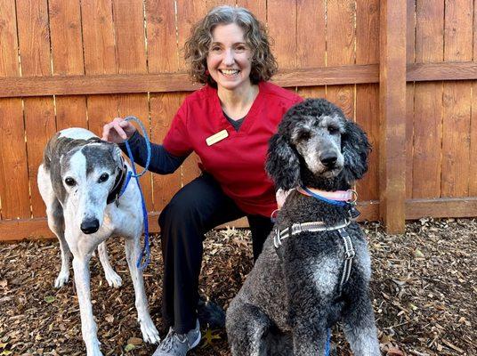 Northern Animal Clinic