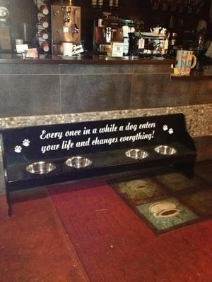 Coffee shop and dog dishes.
