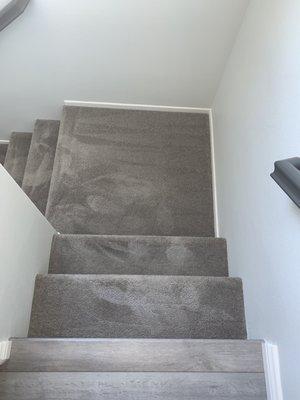 Dave's Carpet Cleaning
