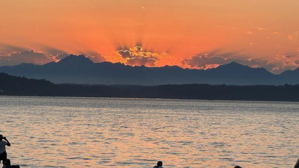 Schmitz Park Creek Restore