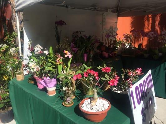 Miami Children's Hospital Gym