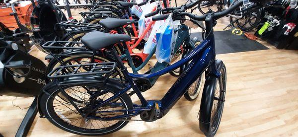 Bert's Bikes & Fitness