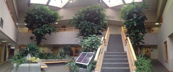 Atrium entrance to the office.