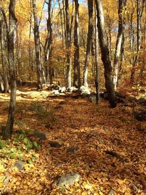 Mt Pisgah Conservation Area