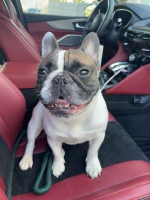 Dry Creek Veterinary Hospital