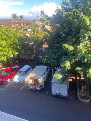 Lazy workers don't know how to park