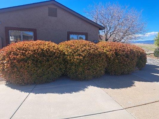 Rammscapes Landscaping