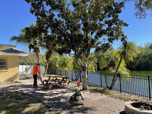 Brian's Quality Tree Care