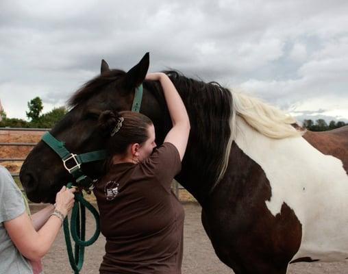 Dr. Halle's Healing Hands