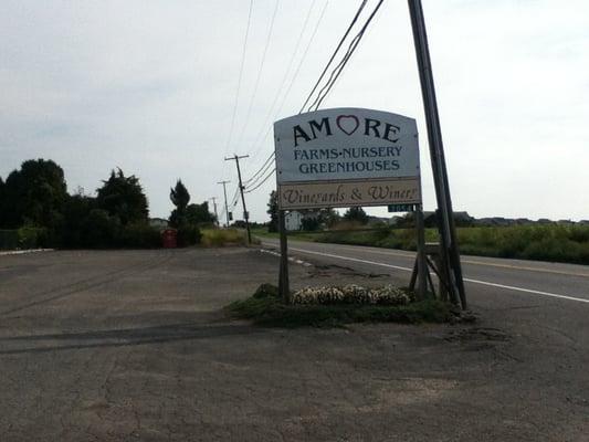 Amore Vineyards & Wineries