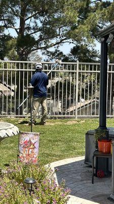 Roka Pest Management