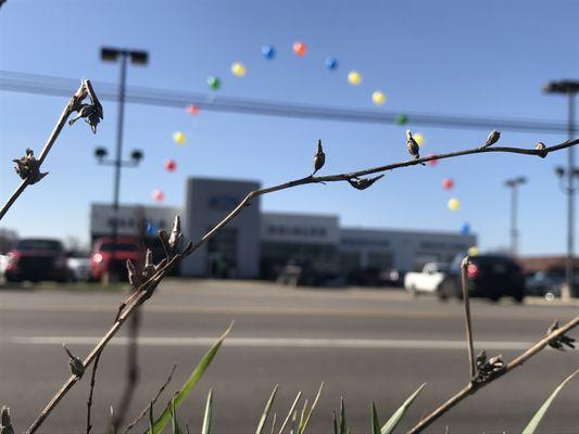 Zeigler Plainwell Ford