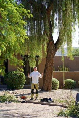 Our owner and ISA Certified Arborist Hunter Bretz looking happy after trimming a beautiful Willow Acacia tree.