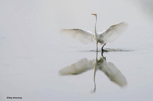 Create a calm, undisturbed heart and mind to support a more satisfying life.