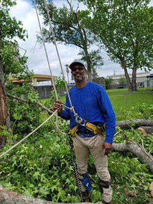 S&D Tree and Debris Removal Services