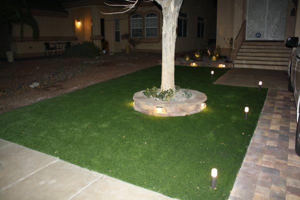 Absolute Paradise Landscaping