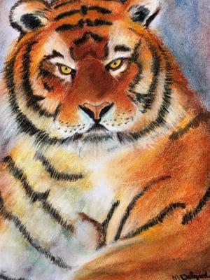 The Vivid Canvas Art Studio