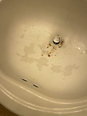 Westminster Chase Apartments