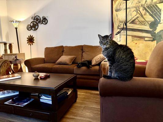 My boys giving their approval of the new sofa, chair and coffee table.