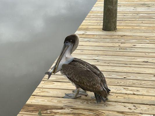 Bayou Marino Rv Park