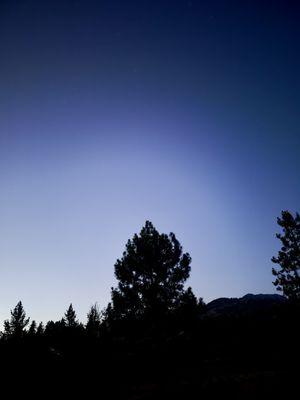 Living Free Animal Sanctuary