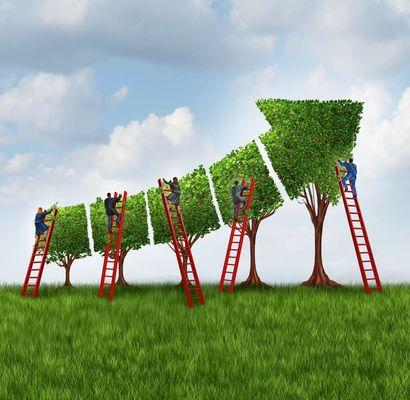 Martinez Tree Service & Landscaping