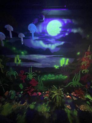 American Shaman Kava Bar + Premium CBD