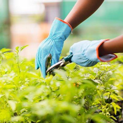 Jose Angel Landscaping