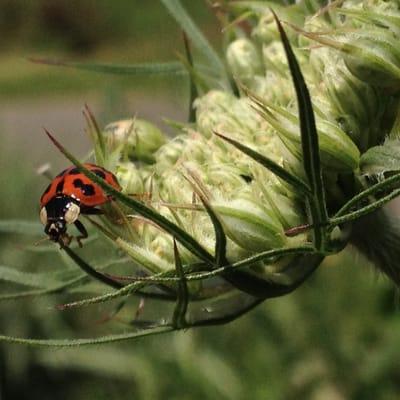 Capital Vision Christian Church