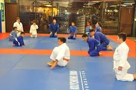 A. Kolychkine Judo Foundation