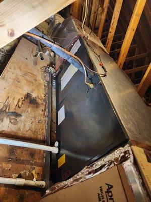 Prime Contract Services