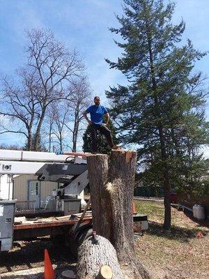 Mel's Firewood & Tree Service