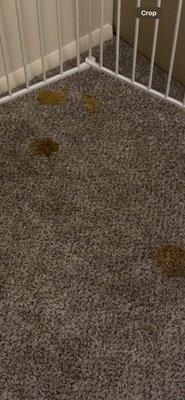 West Chester Veterinary Center