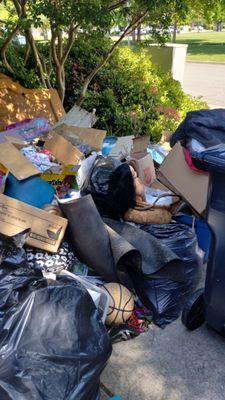 Sleek Laborers Hauling and Demolition