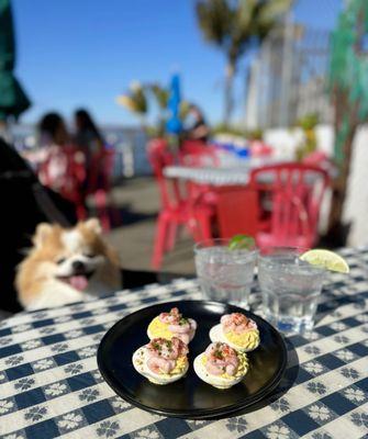Deviled Eggs w/ bay shrimp ($16) + Hendrick's Club Soda ($15 each) - Come for the waterfront views + live music!