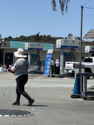 Shineology Strawberry