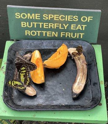 Never knew this, just look!