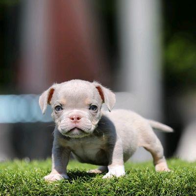 Still available for anyone interested.