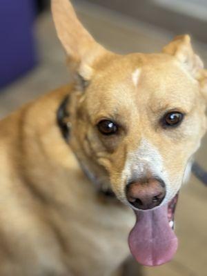 Broadway Veterinary Hospital