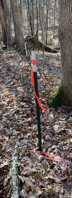 Post marker and Pin in ground denoting property Line.