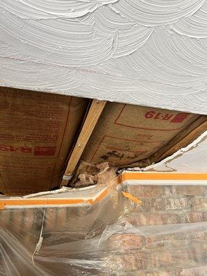 Veronica Amador Paint & Repair