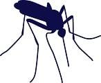Bader Mosquito Management
