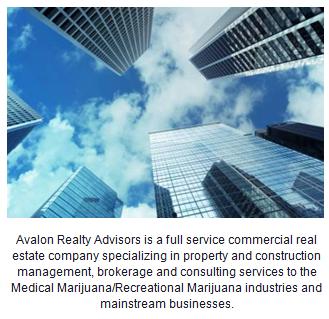 Avalon Realty Advisors Inc