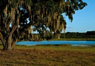 Our new property: 15422 Old Hwy 50 W, Clermont