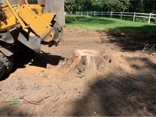 Freiner Stump Grinding Service