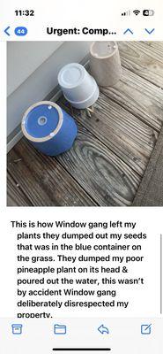 Window Gang - Fayetteville, NC