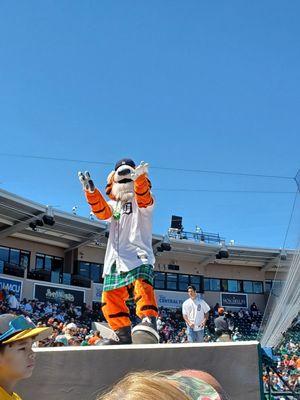 Joker Marchant Stadium