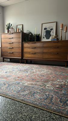 Little Lion Eclectics